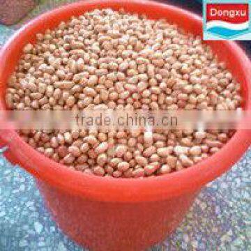 bulk raw organic peanuts