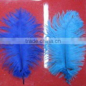 Ostrich Feathers for Wedding Decor