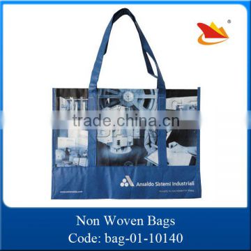 Promotional New Style Online Non Woven Bag for Shopping