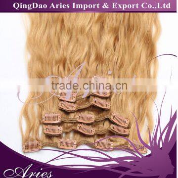 Brazilian Virgin Hair #24 Clip In Hair Extension Body Wave Clip In Human Hair Extensions