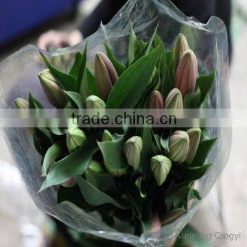 Wholesale Types of Fresh Cut Flowers Diversified in Packaging Crazy Selling Fresh Lily photo-2