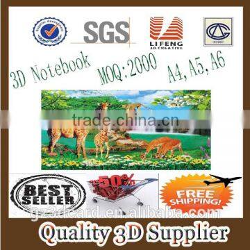 Guangzhou lifeng 3D notebook with spiral binding