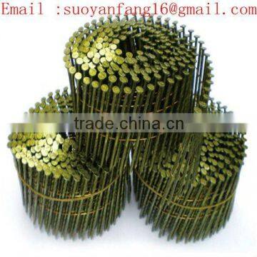 Galvanized Coil Nail (factory)