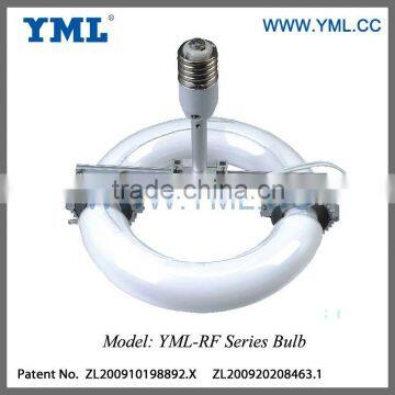 Chinese Patent 500W Retrofitting Induction Lamp