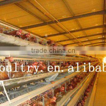 poultry house chicken cage for sale