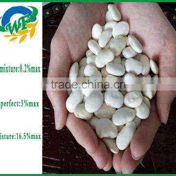 New Crop Pumpkin Seed and Kernels& Snow White Pumpkin Seeds & Shine Skin Pumpkin Seeds photo-4
