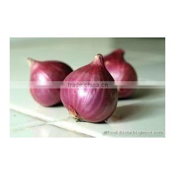 red onion price