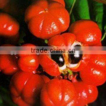 Guarana Powder Extract