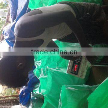 Dry Coconuts photo-5