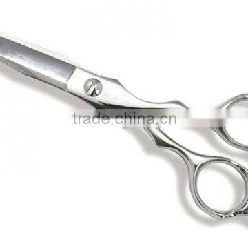 Hair Scissors Beauty Thinning Scissors Professional Thinning Scissors