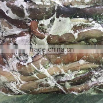 2016 Hot sale Frozen Peru Giant Tentacles for marker