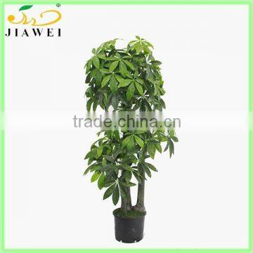 wholesale artificial fortunate tree/money tree on sale