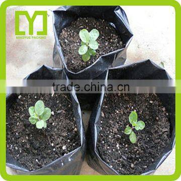 Yiwu Eco-friendly Biodegradable Plastic High Quality Nursery Planting Bags