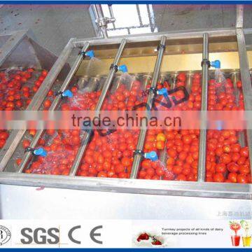 Tomato Paste Machine photo-2