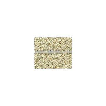 WHITE SAFFLOWER SEED