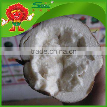 Frozen vegetables supplier cheap price for best Chinese fresh kudzu