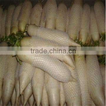 Fresh Raddish photo-5