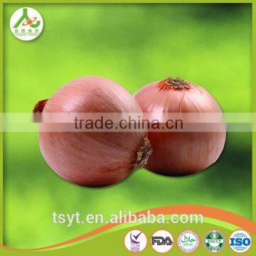 Fresh Red Onion From China photo-3