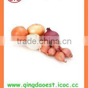 FOR SALE export Fresh Red and Yellow Onion