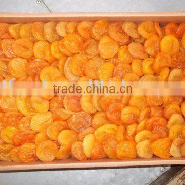 Dried Apricot from China orgin