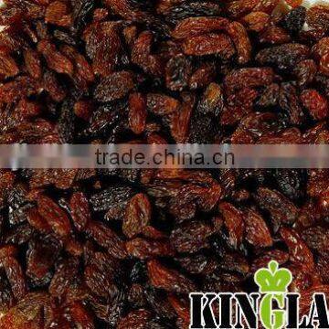 China Dried Sultana Raisin