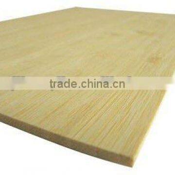 Natural Bamboo Panel