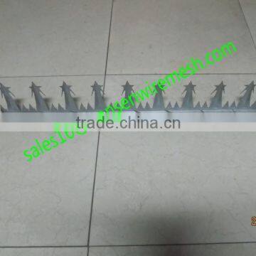 Security Wall Spike photo-3