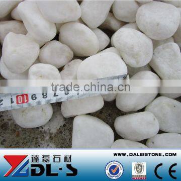 Natural River Stone White Round Pebble Stone 2-4cm