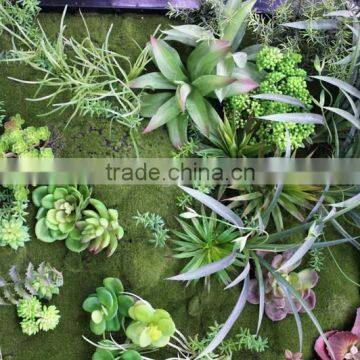 Grass Wall Manufacturer Packing System Modular Green Wall photo-3
