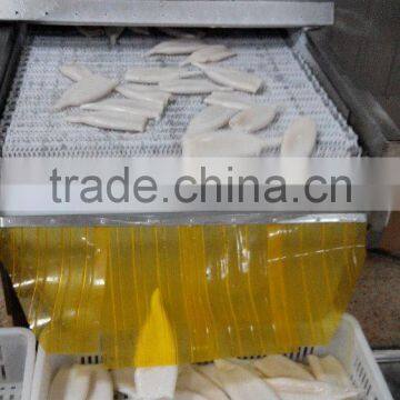 Frozen Tordarodes and Argentina Squid Tube U10,U5 photo-5
