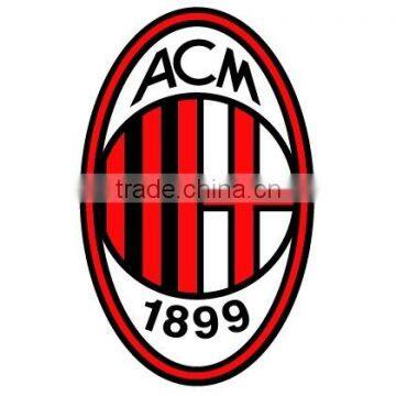 Custom Sport Heat Transfer Sticker/Iron-on Sticker for Jerseys by Heat Transfer Machine photo-2