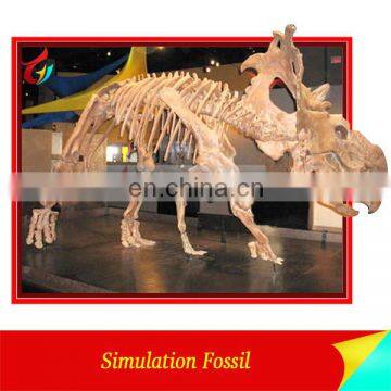 Artificial Skeleton Model Dinosaurs