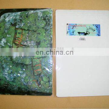 OEM order plastic hot food dining table mat