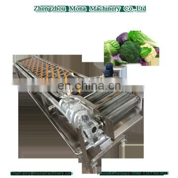 fruit and vegetable bubble washer bubble washing machine apple washer