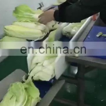 Plantain slicing machine / vegetable cutting machine