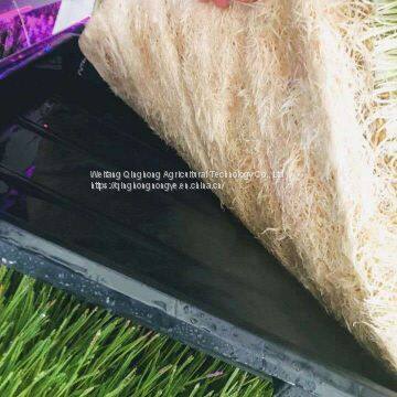 Container Type Hydroponic System Seed Germination Machine Hydroponic Forage Forage Planting System