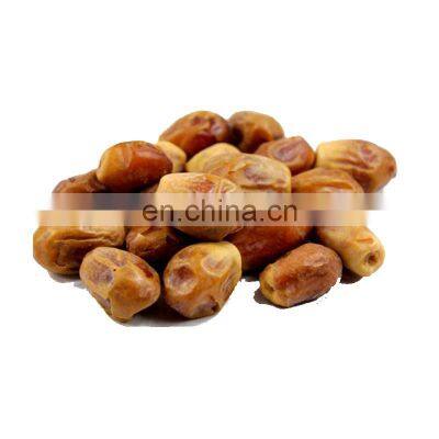 manufacturer for date making machine