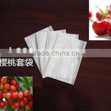 Big Cherry growing bag