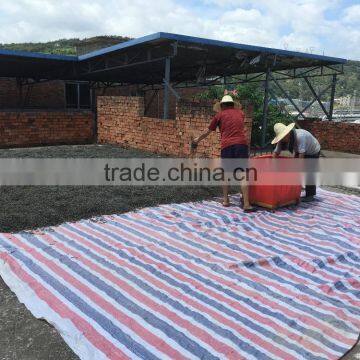 Sun Dried Laminria Japonica, Dried Seaweed Factory In China photo-4