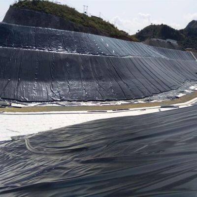 Geomembrane