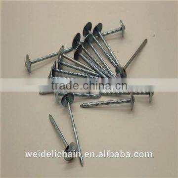 Galvanized Roofing Nails/ Umbrella Roofing Nails photo-5