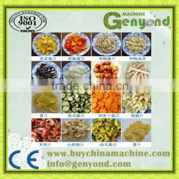 2014 shangahai Fruit and vegetable chips processing line