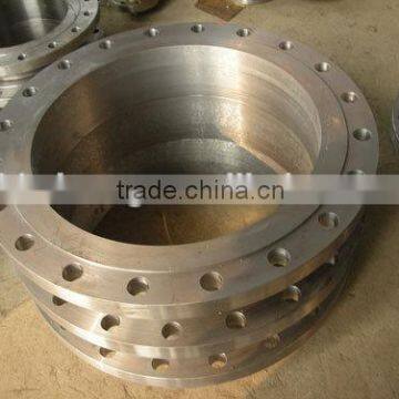 OEM Stainless Steel Forged Flange Made in China
