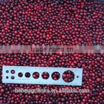 IQF frozen style Chinese lingonberry