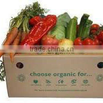 Vegetable Garden Packaging Box on Sale photo-6