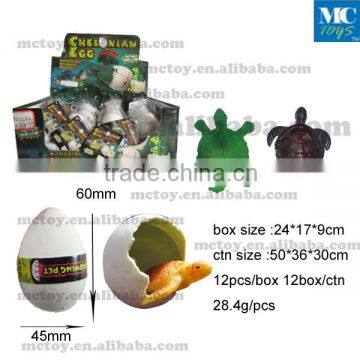 Growing Tortoise egg toys growing dinosaur egg toys