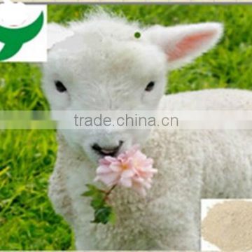 Hot selling sheep placenta powder extract