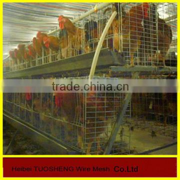 China Anping hot sale different kinds of chiken cages for sale(factory)