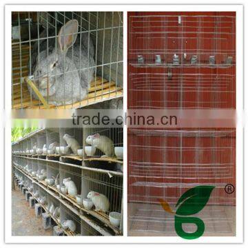 hot selling new design rabbit house