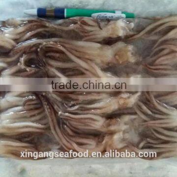 Frozen Squid Tentacle photo-3